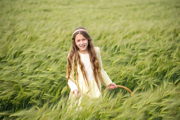 Green Wheat Field Beautiful Girl Walks Field Child Basket Collects — Stock Photo, Image