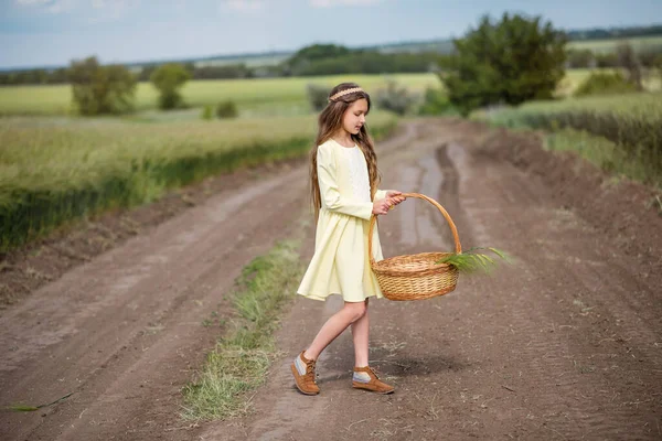 绿麦田美丽的姑娘在田野里散步 一个拿着篮子的孩子收集小穗 娱乐和农业 一个年轻姑娘的长发 — 图库照片