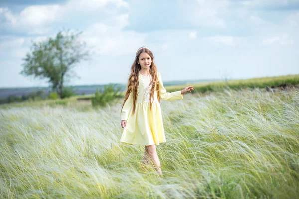 畑の中の女の子 花の分野の若い女性 美しい少女が公園を歩いている 夏の散歩やリラクゼーション 笑顔の子供 女の手の中のデイジー — ストック写真