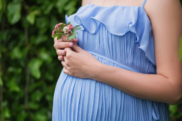 Беременная Женщина Держит Живот — стоковое фото