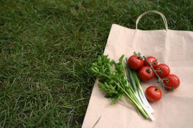Sepette taze sebzeler. Çimlerin üzerinde taze sebzeler.