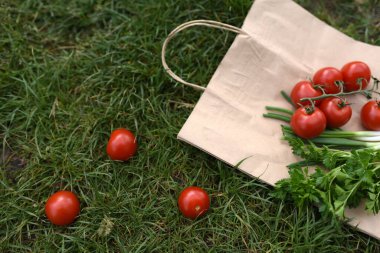 Sepette taze sebzeler. Çimlerin üzerinde taze sebzeler.