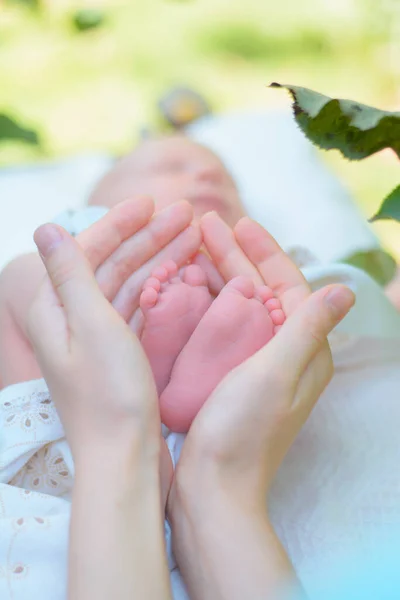 Baby Ben Nyfödd Händerna Föräldrar — Stockfoto