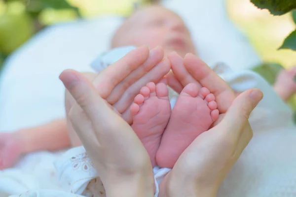 Baby Ben Nyfödd Händerna Föräldrar — Stockfoto