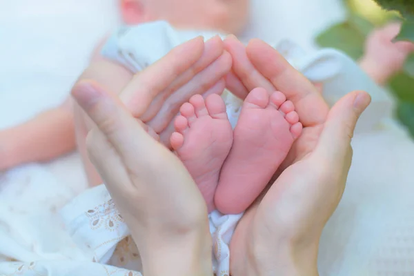 Baby Ben Nyfödd Händerna Föräldrar — Stockfoto