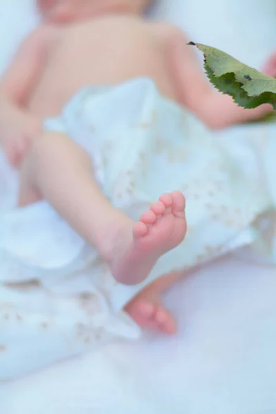 Dziecięce Nogi Noworodka Rękach Rodziców — Zdjęcie stockowe
