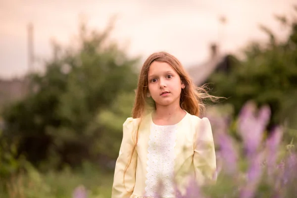 Mooi Meisje Bij Zonsondergang Een Veld Met Paarse Bloemen Lavendel — Stockfoto