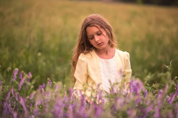 Beautiful Girl Sunset Field Purple Flowers Lavender Child Walks Travels — Stock Photo, Image