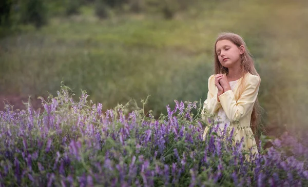 Menina Bonita Pôr Sol Campo Com Flores Roxas Lavanda Criança — Fotografia de Stock