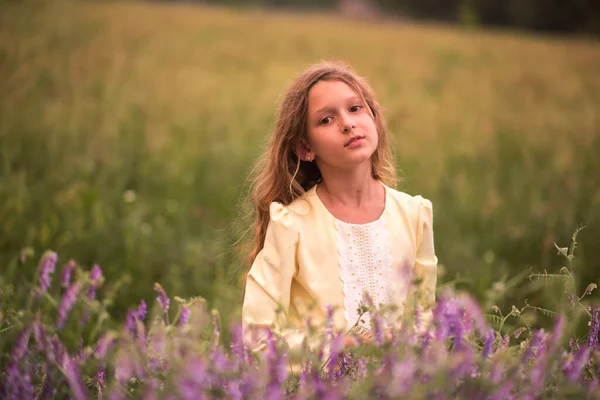 Beautiful Girl Sunset Field Purple Flowers Lavender Child Walks Travels — Stock Photo, Image