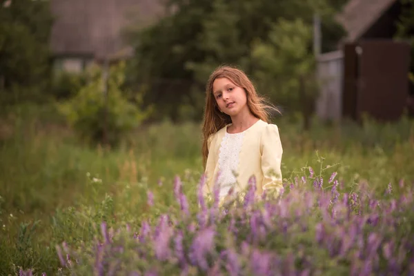 Mooi Meisje Bij Zonsondergang Een Veld Met Paarse Bloemen Lavendel — Stockfoto