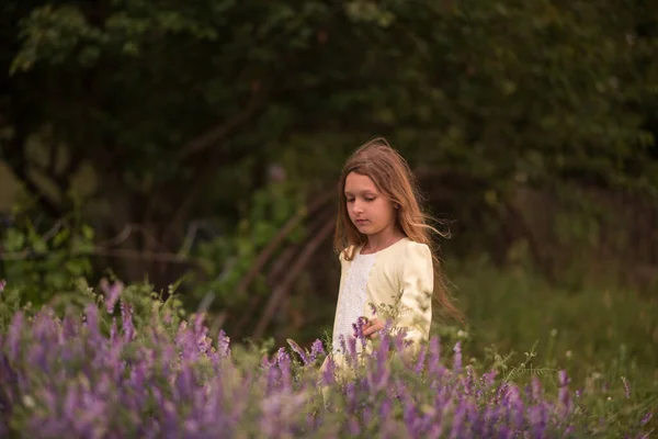 Schöne Mädchen Bei Sonnenuntergang Einem Feld Mit Lila Blumen Lavendel — Stockfoto