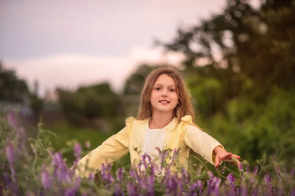 Beautiful Girl Sunset Field Purple Flowers Lavender Child Walks Travels — Stock Photo, Image