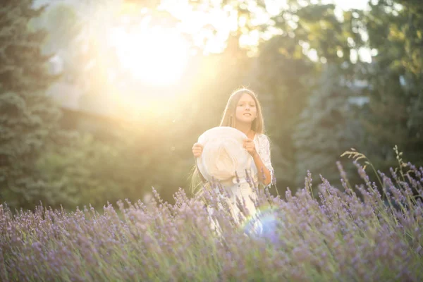 Красива Дівчина Довгим Волоссям Заході Сонця Парку Дівчинка Лавандовому Полі — стокове фото
