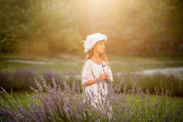 Beautiful Girl Long Hair Sunset Park Girl Lavender Field Child — Stock Photo, Image