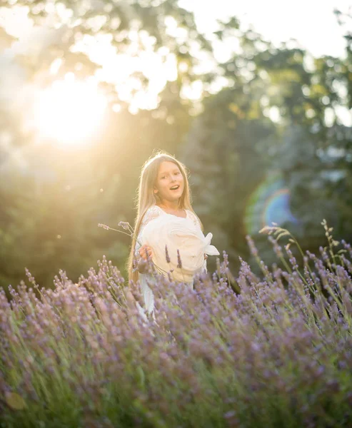 Schöne Mädchen Mit Langen Haaren Bei Sonnenuntergang Park Mädchen Lavendelfeld — Stockfoto