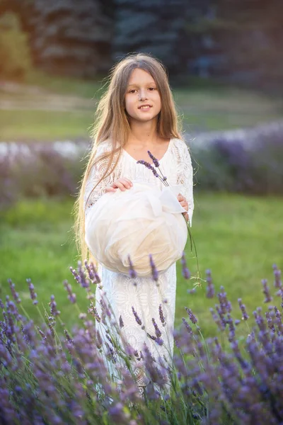 Schöne Mädchen Mit Langen Haaren Bei Sonnenuntergang Park Mädchen Lavendelfeld — Stockfoto