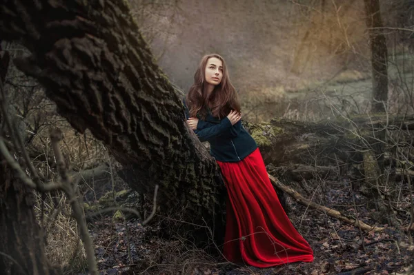 Pensiva Sonhadora Bela Jovem Floresta Outono Natureza Outono Uma Menina — Fotografia de Stock