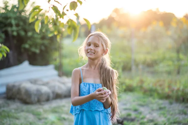 Una Hermosa Chica Pelo Largo Recoge Peras Jardín Niño Sostiene — Foto de Stock