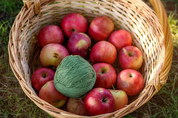 Basket of apples on grass