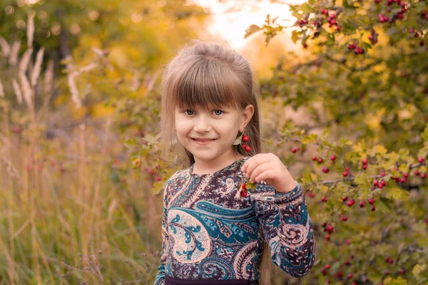 Niña Parque Otoño Niño Feliz Sonríe —  Fotos de Stock