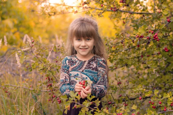 Niña Parque Otoño Niño Feliz Sonríe — Foto de Stock