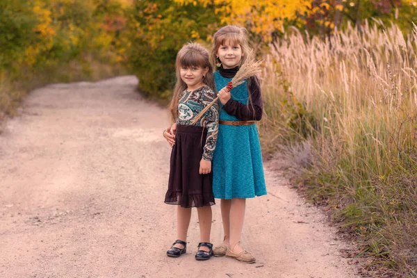 Dos Hermanas Pequeñas Abrazándose Parque Otoño Los Niños Sonríen Son — Foto de Stock