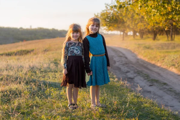 Dos Hermanas Pequeñas Abrazándose Parque Otoño Los Niños Sonríen Son — Foto de Stock