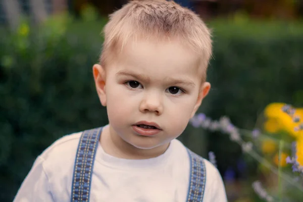 Niño Pequeño Caminando Parque Otoño Niño Con Estilo — Foto de Stock