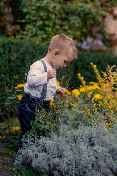 Niño Pequeño Caminando Parque Otoño Niño Con Estilo — Foto de Stock