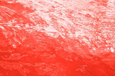 Yıl 2019 - yaşayan Mercan rengi. saf mercan su yüzeyi.