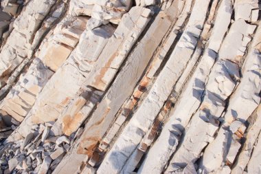 Doğal zor ışık taş yolun ormanın ortasında astar.