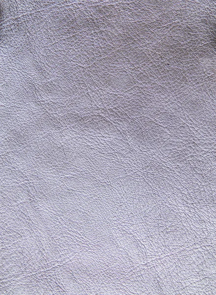 Luce Argento Brillante Pelle Naturale Texture — Foto Stock