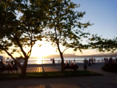 Kompozisyon ve günbatımı denizde merkezinde büyük bir ağaç Halk Plajı manzaralı arka plan bulanık.