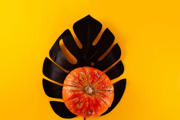 Diseño Conceptual Halloween Sobre Fondo Amarillo Naranja Calabaza Decorativa Naranja — Foto de Stock