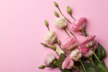 Pembe pastel kağıt arka plan üzerinde nazik pembe eustoma çiçekleri.