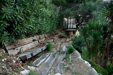 Yeşil palmiye dallarında eski ahşap bir bank.