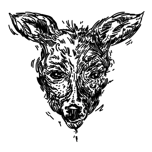 Beyaz arka plan üzerinde izole bir geyik, el çekilmiş gerçekçi taslağını — Stok Vektör