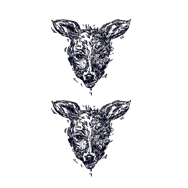 Ručně tažené realistické skica jelena, izolované na bílém pozadí — Stockový vektor
