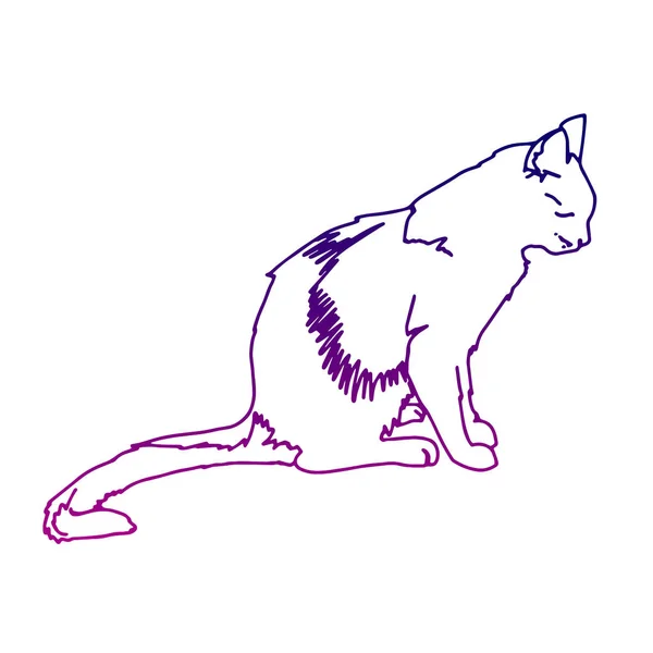 우아하고 귀여운 그림입니다. 격리 된 실루엣 고양이 앉아입니다. 섬유 및 산업 목적으로 인쇄합니다. 벡터 일러스트 레이 션. — 스톡 벡터