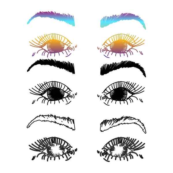 Les yeux et les sourcils féminins. Éléments de conception de l'industrie de la beauté Illustration vectorielle . — Image vectorielle