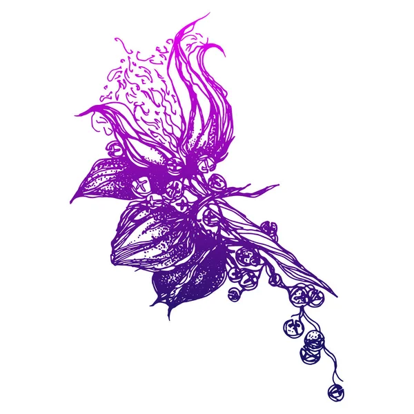 Güzel el vektör desen pamuk Şubesi ile çekilmiş. El boho chic tarzı tasarım öğeleri çekilmiş. Duvar kağıtları, web sayfası arka planlar, yüzey dokuları, Tekstil için mükemmel.