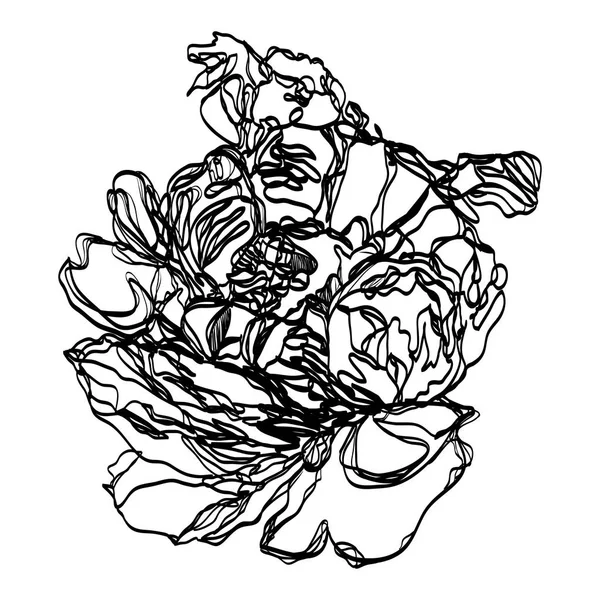 Zeichnung von Vektorgrafiken mit floralem Muster für das Design. Blütenblume natürliches Design. Grafik, Skizzenzeichnung. Pion. Hintergrund, Sommer-Muster, Vektor-Tapete, Sommer-Textur, Umhüllung mit — Stockvektor