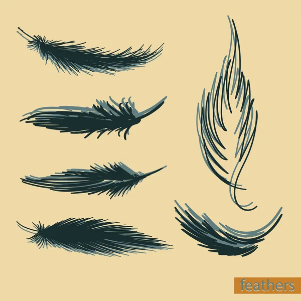 Colección de plumas majestuosa detallada — Vector de stock