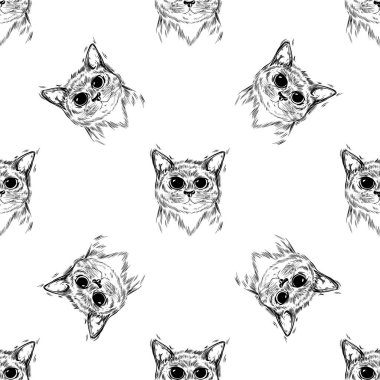 Güzel şirin gözleri ile stilize kedi. Kawaii.