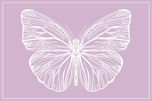 Schöne handgezeichnete Skizze Schmetterlinge Muster Vektor Illustration. — Stockvektor