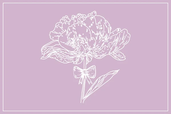 Pfingstrose Blume am Stiel mit einem Bogen. Symbol der Liebe und des Geschenks. — Stockvektor