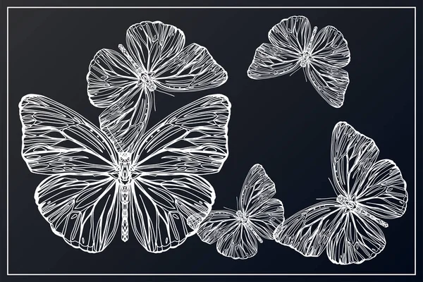Schöne handgezeichnete Vektorillustration Skizze von Schmetterlingen. — Stockvektor