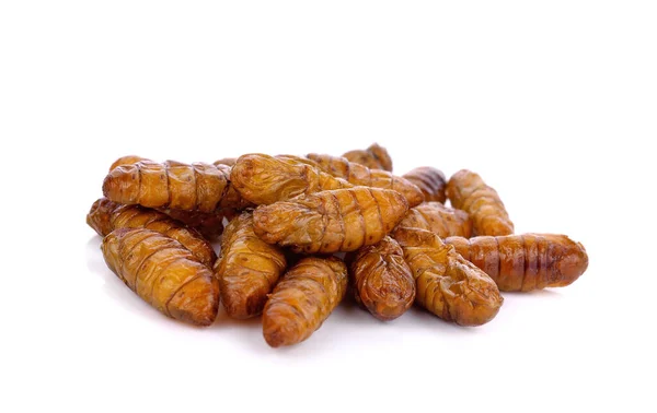 Fried silkworm pupae on a white background