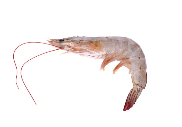 Beyaz arka planda izole edilmiş taze çiğ karidesler.